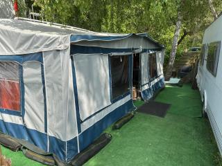 Majestat - Jastarnia - 3