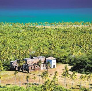 Paraíso Tropical - 6