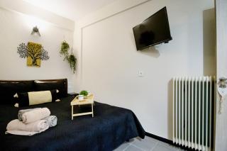 Elenis cozy apartment - Larisa - 5