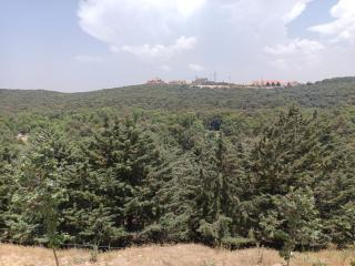 Le Refuge de Vittel - Ifrane - 5