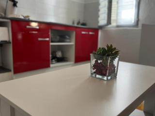 Studio 2 personnes dans le célèbre quartier des chartreux - 7