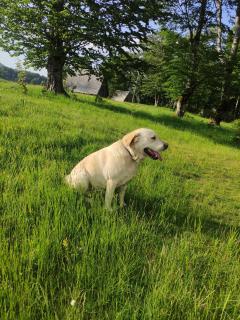 Durmitorske kolibe - 3