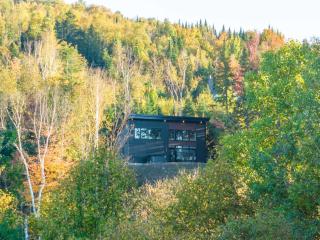 La Luxueuse Spa et Montagne de Ski Chalet NEUF - Saint Come - 0