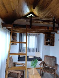 Tiny House Nativa - Montecarlo - 1