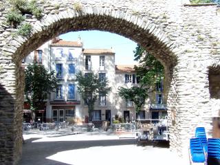 Poppys - Céret - 9