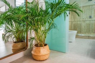 Calma Places - Luz de San Eloy - 2