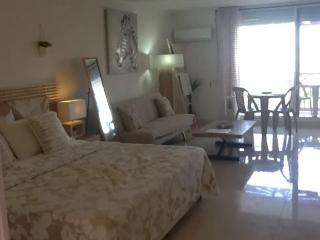 Cozy Studio in Saint-Martin, 38 m² with Pool - Saint Martin - 7