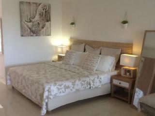 Cozy Studio in Saint-Martin, 38 m² with Pool - Saint Martin - 4