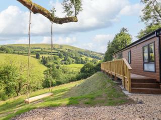 The Owlet - Llanidloes - 8