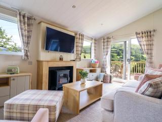 The Owlet - Llanidloes - 7