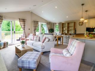 The Owlet - Llanidloes - 6