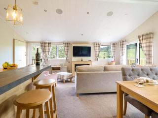 The Owlet - Llanidloes - 5