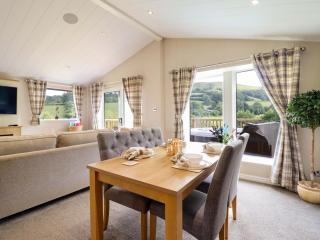 The Owlet - Llanidloes - 4