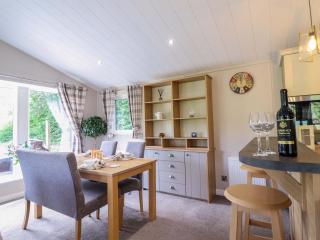 The Owlet - Llanidloes - 3