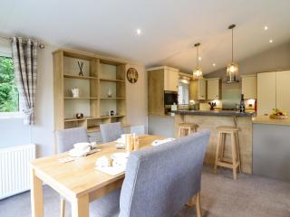 The Owlet - Llanidloes - 2
