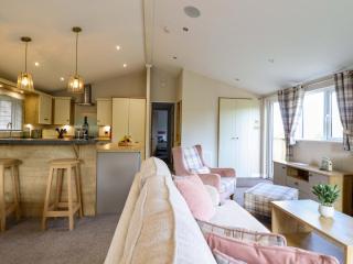 The Owlet - Llanidloes - 1