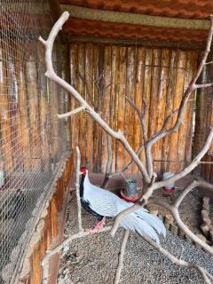 Hotel Fazenda Upã Moña - 1