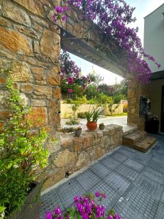 Sunrise Villa - Kassandra (Kassandria) - 3