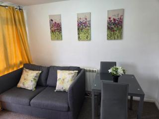 Harlow, Essex - One bedroom apartment with beautiful scenery - Harlow - 5