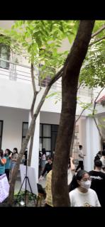 Ji Home - Ho Chi Minh - 1