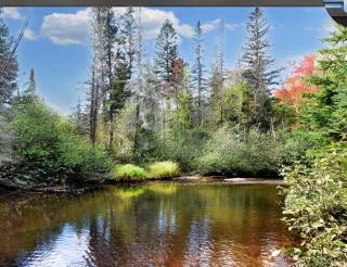 Chalet Natura Versailles Spa and River - 9