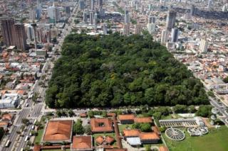 Apt Climatizado COP30 prox Parque da Cidade Hangar - Belém - 7