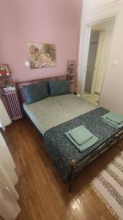 Whole Apartment 52 square meters in the neigboor of Pagrati in Athens - Atene - 9