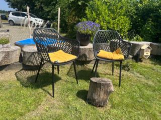 Wellness B&B Meijdema - Ternaard - 5