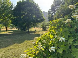L ancien fournil - Sejour authentique & douillet - Proche de Sarlat - 3