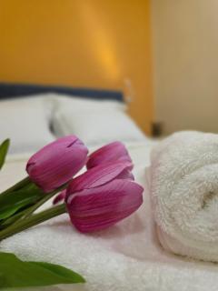 Central Bliss Apartments No2 - Cavala - 5