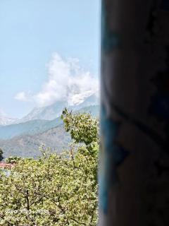 SAAR Palampur Villa 5 BHK With Dhauladhaar Mountains View - 4