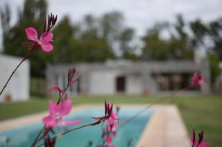 El Tirano, Casa de campo - San Martín - 8