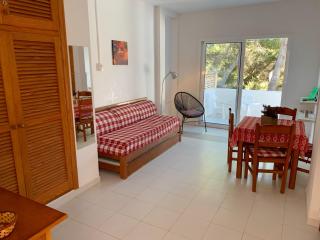 Apartamentos a Es Pujols- Formentera vacaciones - 5