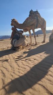 Wadi rum fysl - Disah - 3