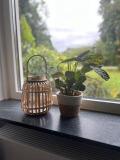 Kip en Hei - 6
