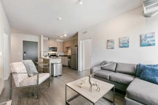 Spacious and Modern With Premium Amenities Near U of M - Minneapolis - 8