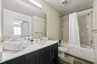 Designer Finishes & City Views - Minneapolis - 6