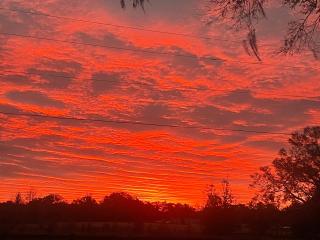 Secret Garden getaway close to I 75 - Ocala - 2