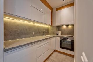 Elysium apartment - Niš - 1