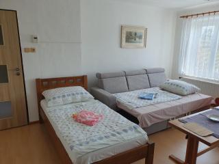 Apartmán Vilovka Slavonice - 5