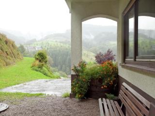 Modern Apartment in Bad Peterstal-Griesbach with Vineyards - Bad Peterstal - 2