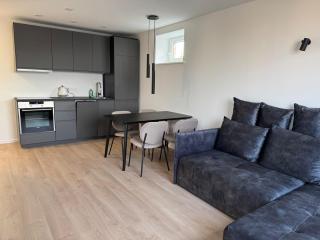 Panorama City View Apartment - Vilnius - 0