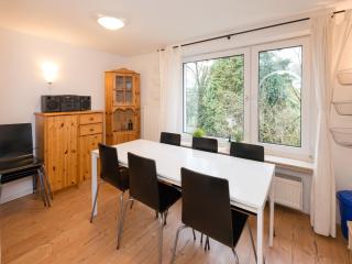 Modern group of homes close to Willingen and Winterberg with large garden - Medebach - 7