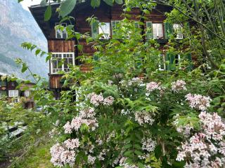 Chalet Montes - Lauterbrunnen - 3