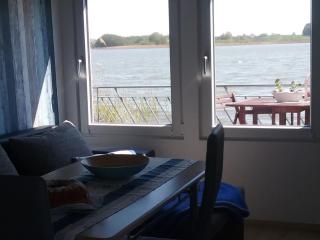 Striking Holiday Home in Sternberg with Jetty - Sternberg - 3