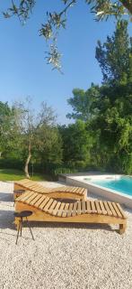 Villa Olivi - a natural paradise near Motovun - Brkač - 8