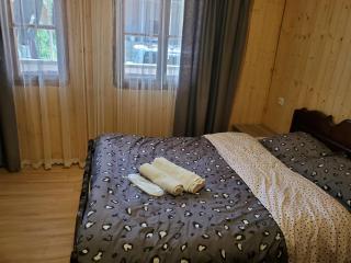Agro Guest House Tsiskari in Machakhela - Khelvach'auri - 3