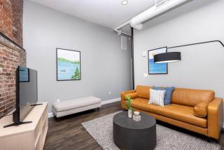 Modern chic 2 bedroom apt - 3