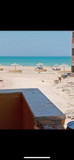 Studio FOR FAMILY - Ras Sudr - 4
