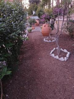Melody, Ground floor cottage Karlovasi Samos - Karlovasi - 4